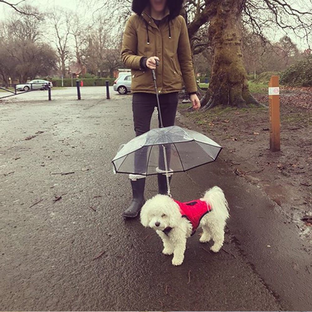 Cool Transparent Umbrella With Traction Chain - Best Pet Parcel