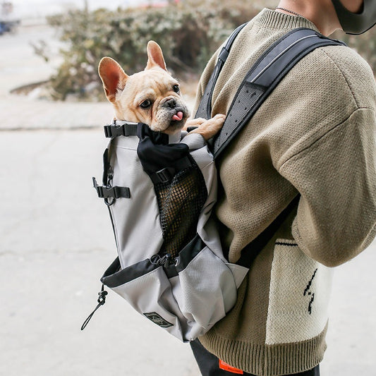 Brilliant Dog Backpack For Every Outing - Best Pet Parcel