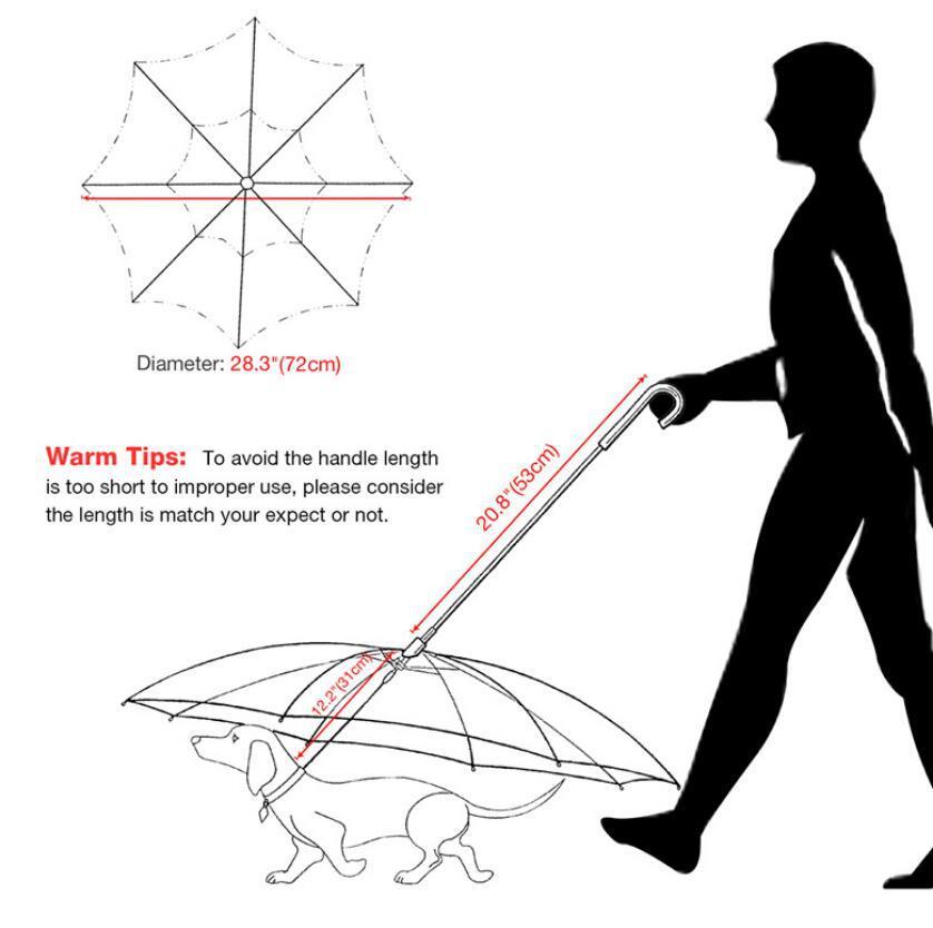 Cool Transparent Umbrella With Traction Chain - Best Pet Parcel